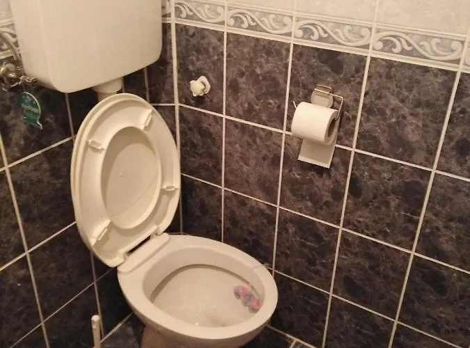 Milojevic Chalet Divcibare